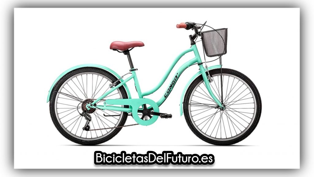 Bicicletas de paseo de 24 pulgadas (bicicletasdelfuturo.es)