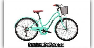 Bicicletas de paseo de 24 pulgadas (bicicletasdelfuturo.es)