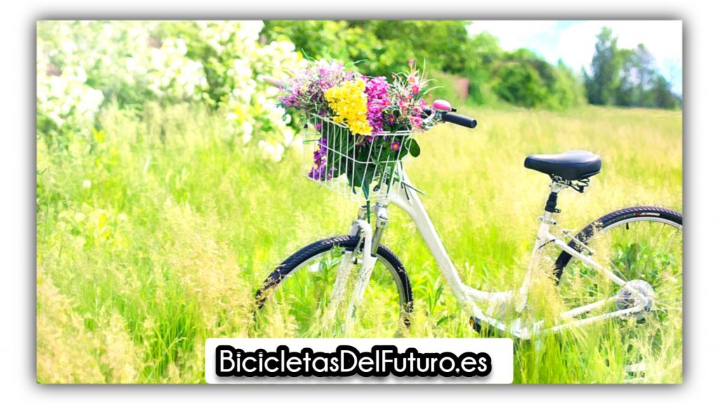 Las bicicletas de paseo (bicicletasdelfuturo.es)