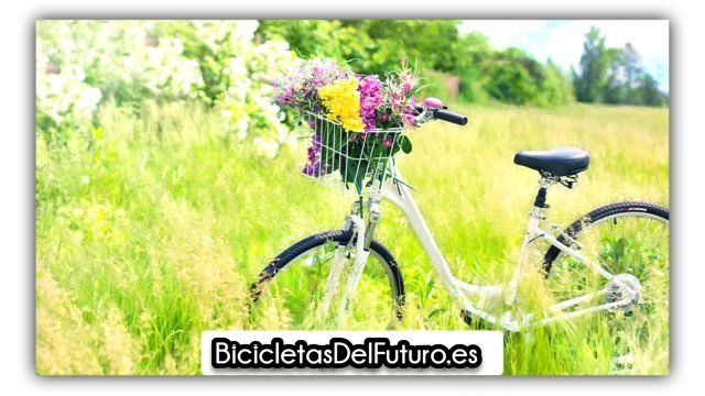 Las bicicletas de paseo