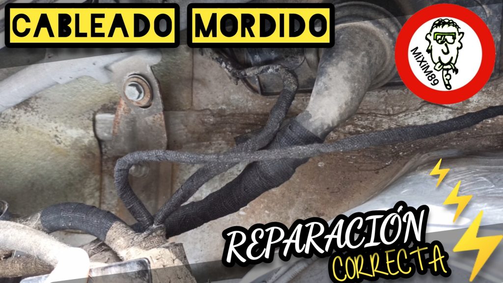 CABLES MORDIDOS por RATAS en el MOTOR del COCHE (Como Reparar) by mixim89